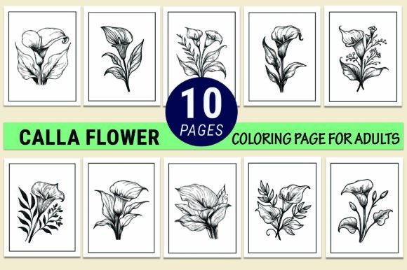 Calla Flower Coloring Pages for Adults: A Creative Escape with Digital Printables