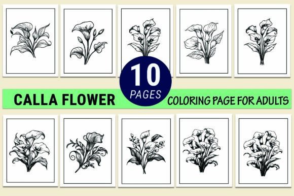 Calla Flower Coloring Pages for Kdp: A Versatile Tool for Creative and Commercial Use